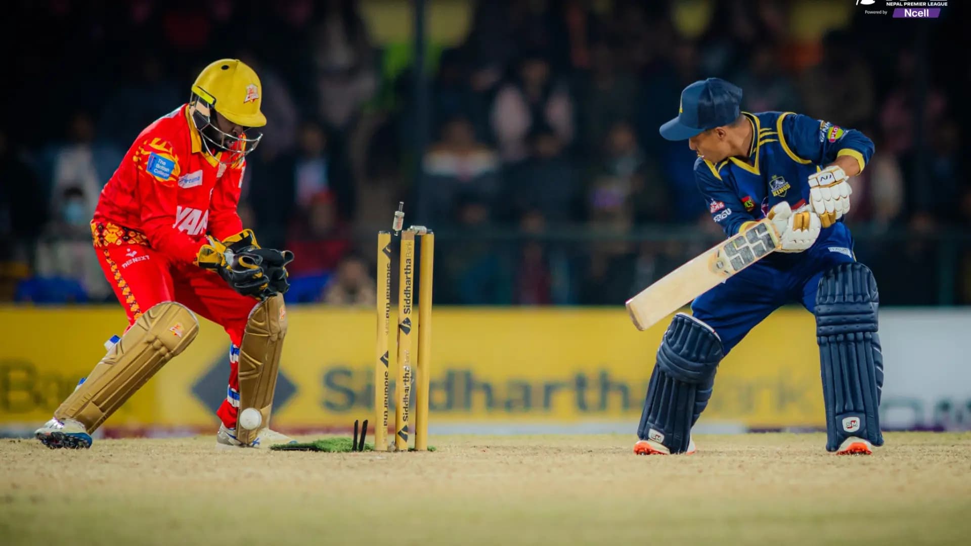 Lumbini Lions
